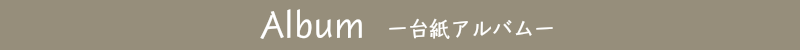 撮影料金