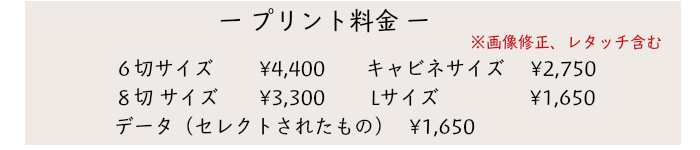 プリント料